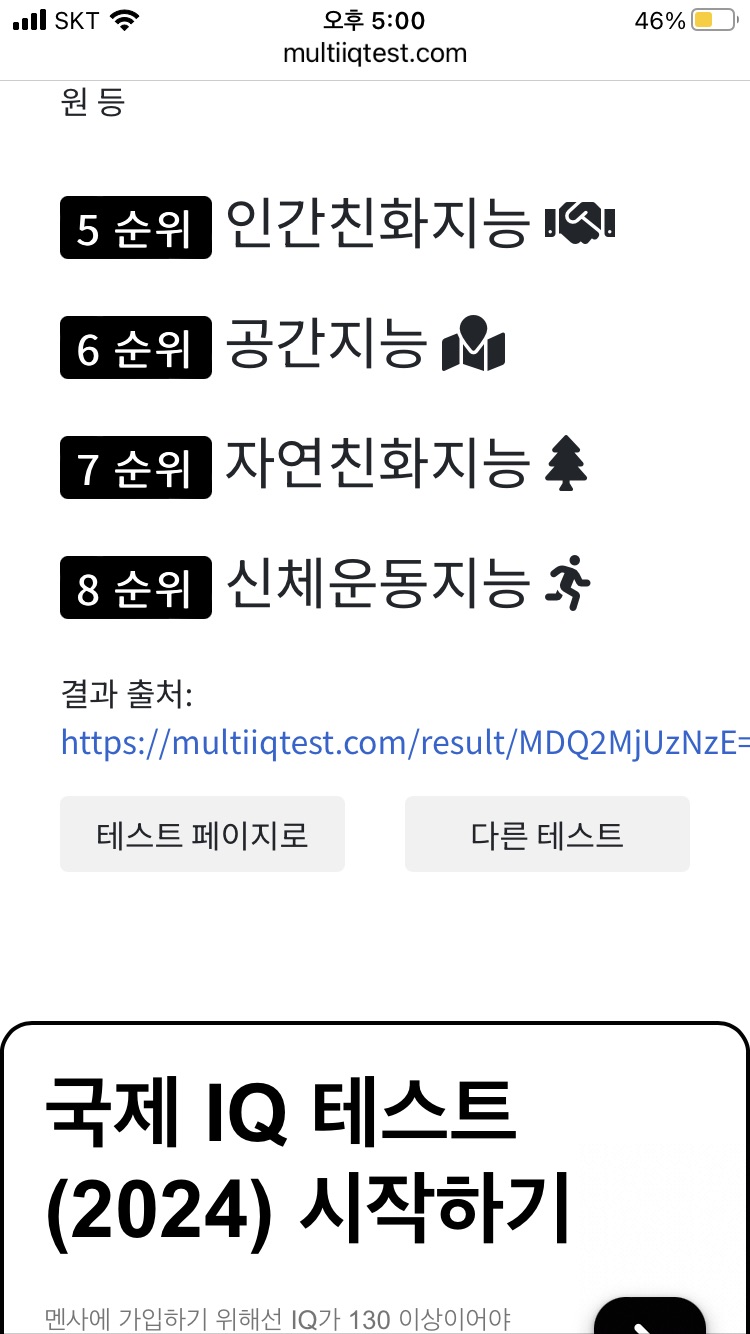 다중지능 검사결과 : 무료아이큐테스트 커뮤니티
